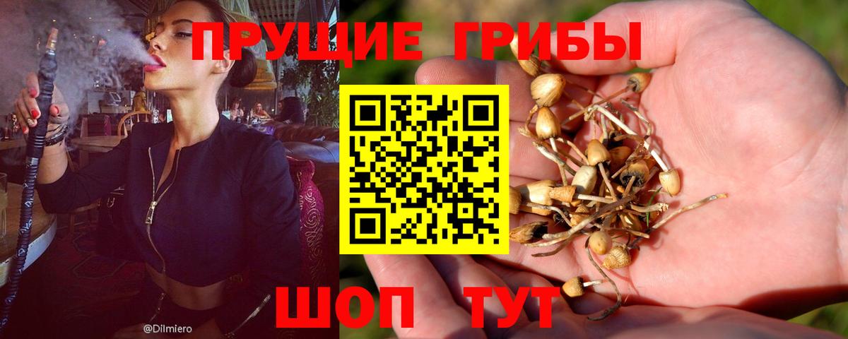 Галлюциногенные грибы мицелий Берёзовский